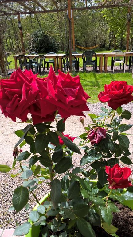 Saint-Christophe  Le Moulin De Douzy B&B 외부 사진