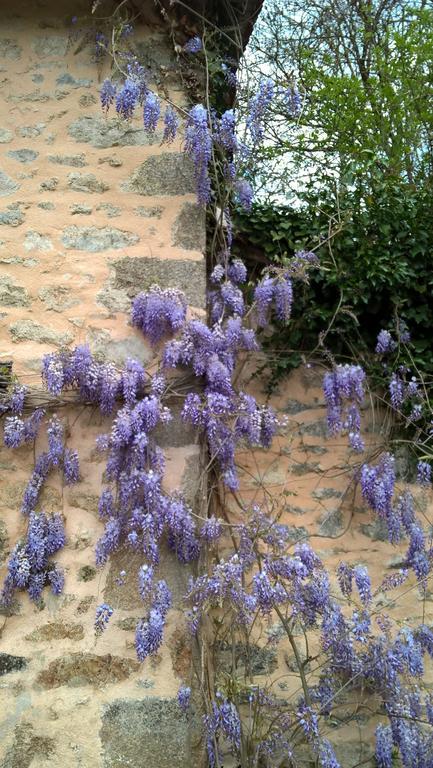 Saint-Christophe  Le Moulin De Douzy B&B 외부 사진