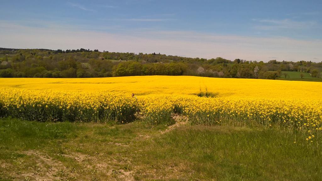 Saint-Christophe  Le Moulin De Douzy B&B 외부 사진